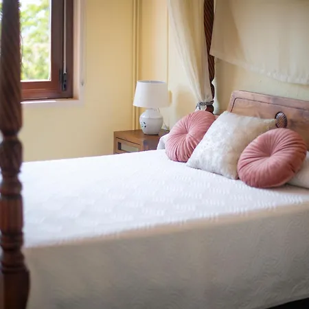 Country house Marcia Solo Adulto *